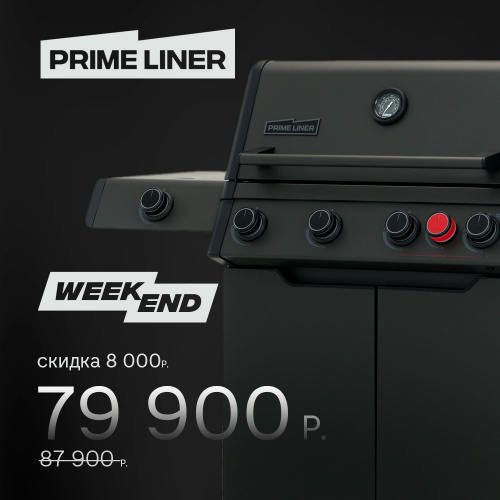 Газовый гриль PRIMELINER WEEKEND 4 фото 2
